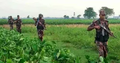 কুষ্টিয়ায় সীমান্তে সতর্কতামূলক মাইকিং ও নিরাপত্তা জোরদার