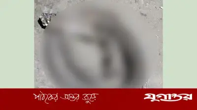 লক্ষ্মীপুরে বসতবাড়ির উঠানে মিলল বিশাল রাসেল ভাইপার