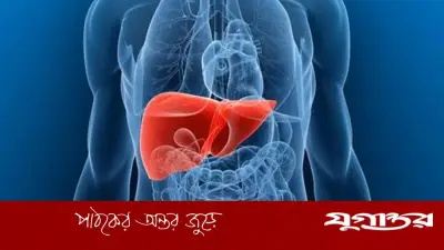 ফ্যাটি লিভারের বিপদ সংকেত: চিকিৎসকের পরামর্শ