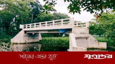 কাজে আসছে না দেড় কোটি টাকার সেতু, চার বছর ধরে অকার্যকর