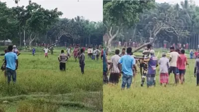 বাংলাদেশি গরু ধরে নিয়ে যাওয়ার সময় বিএসএফকে প্রতিহত করল এলাকাবাসী