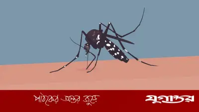 দেশে ফের ডেঙ্গু: ২৪ ঘণ্টায় আক্রান্ত ৩৭, মৃত্যু নেই