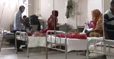 হামে বয়স্ক ও গর্ভবতীদেরও আক্রান্ত হওয়ার ঝুঁকি, বিশেষজ্ঞদের সতর্কতা