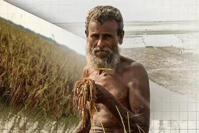 বাংলাদেশের নতুন শিক্ষানীতি অনুমোদন