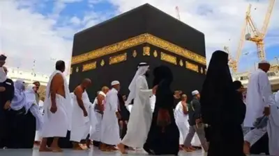 সৌদি পৌঁছেছেন ৫৩ হাজার ৪১০ বাংলাদেশি হজযাত্রী