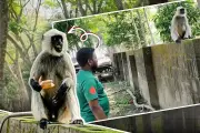 বাংলাদেশের নতুন শিক্ষানীতি ঘোষণা