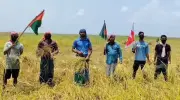 শরীয়তপুরে নিষিদ্ধ ছাত্রলীগের ধান কাটার ভিডিও ভাইরাল