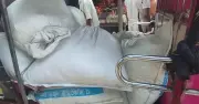 মাগুরায় টিসিবির চাল গোপনে বিক্রি, ডিলার আটক