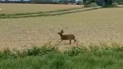 আন্তর্জাতিক ভিডিও: বিশ্বের খবর এক নজরে