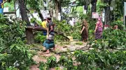 ৪০ মিনিটের ঝড়ে বিপর্যস্ত সদরপুরের জনজীবন