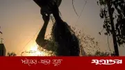 গরমে শরীরের ভারসাম্য বজায় রাখতে যা খাবেন