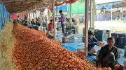 দিনাজপুরে গ্রীষ্মকালীন টমেটোর সবচেয়ে বড় হাট গাবুরা বাজারে দৈনিক ৩-৪ কোটি টাকার কেনাবেচা