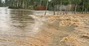 শেরপুরে পাহাড়ি ঢলে বাঁধ ভেঙে প্লাবিত নিম্নাঞ্চল