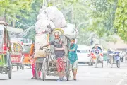 ঢাকা দক্ষিণ সিটির বর্জ্য ব্যবস্থাপনায় বিএনপি নেতা-কর্মীদের আধিপত্য