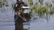 বাংলাদেশের গ্রামীণ জীবনের নানা দৃশ্য