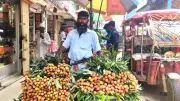 আখাউড়ায় আগাম লিচুতে ক্রেতাদের হতাশা, মানিকগঞ্জে পুকুর সংস্কারের নামে মাটি বাণিজ্য