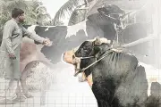 প্রথম আলোর ভিডিও প্রতিবেদন: বাংলাদেশের নানা দিক