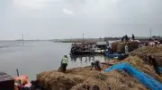 পৃথিবীর সবচেয়ে বড় গণহত্যা উদযাপন করছে ইসরায়েল: প্রধানমন্ত্রী