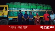 নেত্রকোনায় পাচারকালে ৬৬৭ বস্তা সরকারি চাল জব্দ, আটক ২