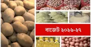 নিত্যপণ্যে কর ছাড়, বিলাসী পণ্যে চাপ বাড়ানোর পরিকল্পনা সরকারের