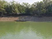 সুন্দরবনে আবারও ৮ বনজীবী অপহরণ, মুক্তিপণ দাবি দস্যুদের