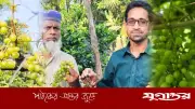 গার্মেন্টসকর্মী থেকে উদ্যোক্তা, আঙুর চাষে সফল কাওসার