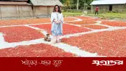 লাল মরিচের গালিচায় বিজ্ঞানী ড. সামারুহ মির্জা, মুগ্ধ নেটিজেন