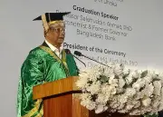 সীমিত ক্ষমতায় কাজ করতে পারেনি আমাদের সরকার: সালেহউদ্দিন