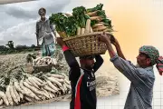 বাংলাদেশের নতুন শিক্ষানীতি: উচ্চশিক্ষায় বড় পরিবর্তন আসছে