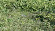 পাহাড়ের টিলায় মাথার খুলি ও বিদেশি মুদ্রা, জঙ্গি অর্থদাতা আটক