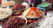 সাতক্ষীরায় তাল মেলায় হাজারো মানুষের মিলনমেলা