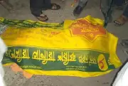 সন্তান বাঁচাতে গিয়ে মায়ের মর্মান্তিক মৃত্যু সীতাকুণ্ডে