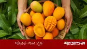 পাকা আম দীর্ঘদিন সংরক্ষণের কার্যকর উপায়
