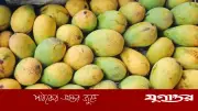 রাসায়নিক দিয়ে পাকানো আম চিনবেন যেভাবে