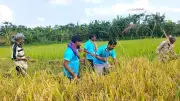 প্রত্যয় তরুণ সংঘের ধান কাটা, মসলার দাম বৃদ্ধি, প্রধানমন্ত্রীর স্মার্টফোন পরিকল্পনা