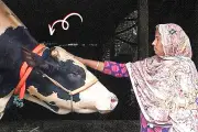 আন্তর্জাতিক ইস্যুতে নতুন দিগন্ত: ভিডিও কভারেজ