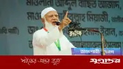 ভারতকে কড়া হুঁশিয়ারি জামায়াত আমিরের, বললেন এটা তিতুমীরের বাংলাদেশ