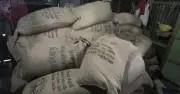 নোয়াখালীতে জামায়াত নেতার বাড়ি থেকে ৯৯ বস্তা সরকারি চাল জব্দ