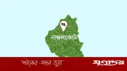 নাঙ্গলকোটে প্রতিবন্ধী নারী ধর্ষণ, মাদ্রাসা শিক্ষক গ্রেফতার