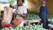 গোপালভোগ ও গোবিন্দভোগ: চেনার সহজ উপায় ও স্বাদের পার্থক্য