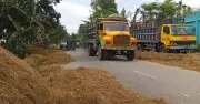 ময়মনসিংহে সড়কে ধান-খড় শুকানোয় বাড়ছে দুর্ঘটনার ঝুঁকি