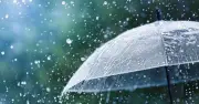 দেশের বিভিন্ন স্থানে বৃষ্টির পূর্বাভাস দিয়েছে আবহাওয়া অধিদপ্তর