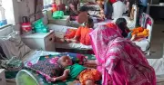 সিরাজগঞ্জে হামের প্রাদুর্ভাব: ২৪ ঘণ্টায় আরও ৪২ জন আক্রান্ত