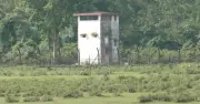 ভারতীয় গরু চোরাচালানে আতঙ্কে ময়মনসিংহের খামারিরা