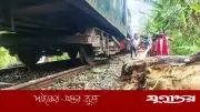 নীলফামারীতে গাছের ডালে ধাক্কা লেগে ট্রেন লাইনচ্যুত, রেল চলাচল বন্ধ