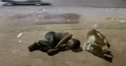 রাস্তার শিশুদের অধিকার রক্ষায় হাইকোর্টের রুল