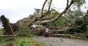 নওগাঁয় প্রচণ্ড ঝড়ে ঘরবাড়ি ও দোকানপাট লন্ডভন্ড, বিদ্যুৎ বিচ্ছিন্ন