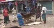 ঈদুল আজহার আগে রাজারহাটের চামড়া ব্যবসায়ীদের অনিশ্চয়তা