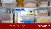ফ্রিজে প্লাস্টিকের পাত্রে খাবার রাখা কেন বিপজ্জনক?