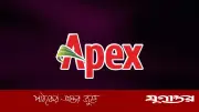সপ্তাহে দুইদিন ছুটিতে অ্যাপেক্সে অফিসার পদে চাকরির সুযোগ